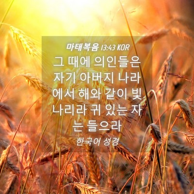 Picture 04 - 마태복음 13:43 KOR - 그 때에 의인들은 자기 아버지 - Bible Verse Picture