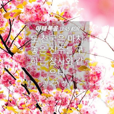 Picture 04 - 마태복음 13:45 KOR - 또 천국은 마치 좋은 진주를 구하는 - Bible Verse Picture