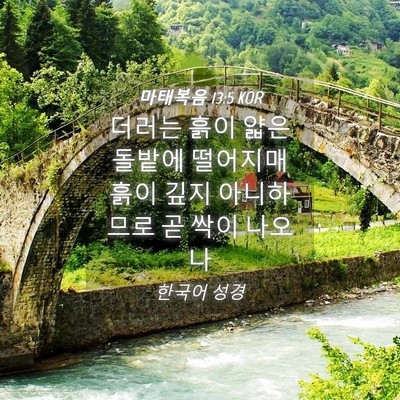 Picture 04 - 마태복음 13:5 KOR - 더러는 흙이 얇은 돌밭에 떨어지매 - Bible Verse Picture