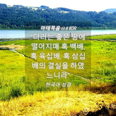 Picture 04 - 마태복음 13:8 KOR - 