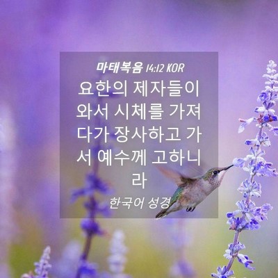 Picture 04 - 마태복음 14:12 KOR - 요한의 제자들이 와서 시체를 - Bible Verse Picture