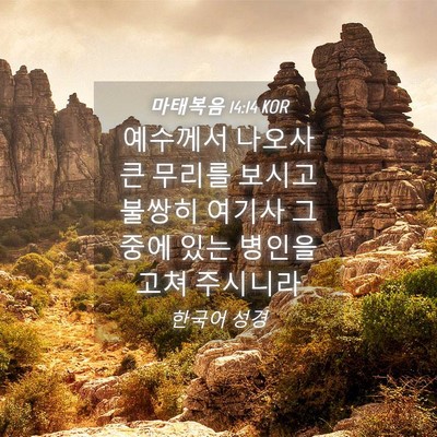 Picture 04 - 마태복음 14:14 KOR - 예수께서 나오사 큰 무리를 보시고 - Bible Verse Picture