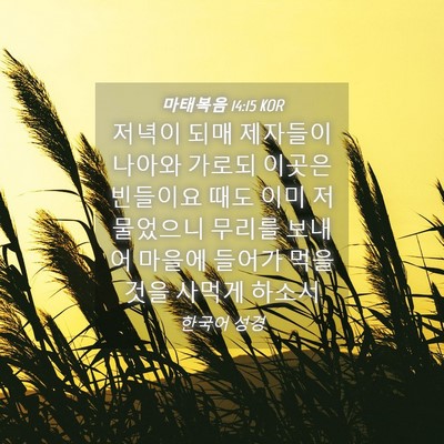 Picture 04 - 마태복음 14:15 KOR - 저녁이 되매 제자들이 나아와 가로되 - Bible Verse Picture