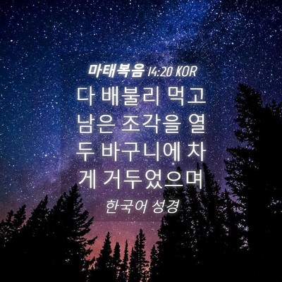 Picture 04 - 마태복음 14:20 KOR - 다 배불리 먹고 남은 조각을 열 두 - Bible Verse Picture