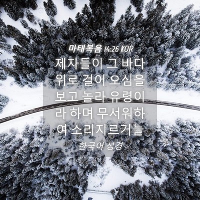 Picture 04 - 마태복음 14:26 KOR - 제자들이 그 바다 위로 걸어 오심을 - Bible Verse Picture