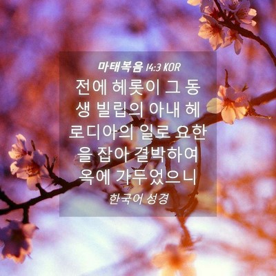 Picture 04 - 마태복음 14:3 KOR - 전에 헤롯이 그 동생 빌립의 아내 - Bible Verse Picture