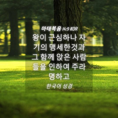 Picture 04 - 마태복음 14:9 KOR - 왕이 근심하나 자기의 맹세한것과 그 - Bible Verse Picture