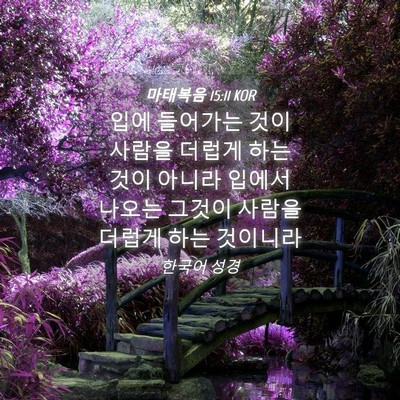 Picture 04 - 마태복음 15:11 KOR - 입에 들어가는 것이 사람을 더럽게 - Bible Verse Picture