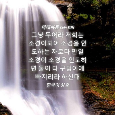 Picture 04 - 마태복음 15:14 KOR - 그냥 두어라 저희는 소경이되어 - Bible Verse Picture