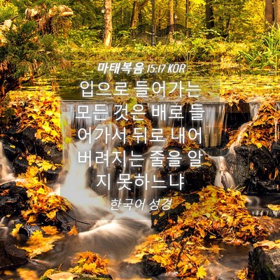 Picture 04 - 마태복음 15:17 KOR - 입으로 들어가는 모든 것은 배로 - Bible Verse Picture