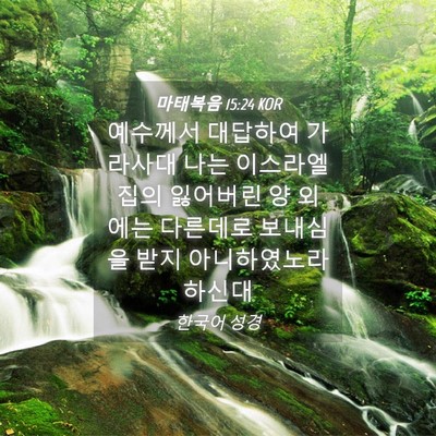 Picture 04 - 마태복음 15:24 KOR - 예수께서 대답하여 가라사대 나는 - Bible Verse Picture