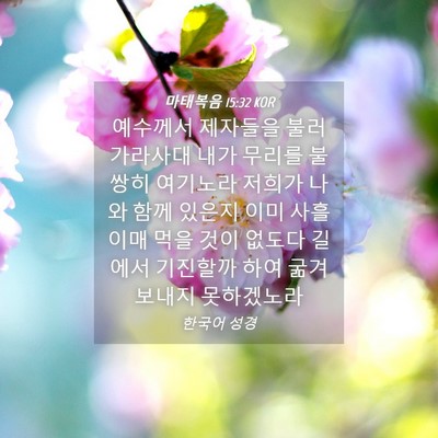 Picture 04 - 마태복음 15:32 KOR - 예수께서 제자들을 불러 가라사대 - Bible Verse Picture