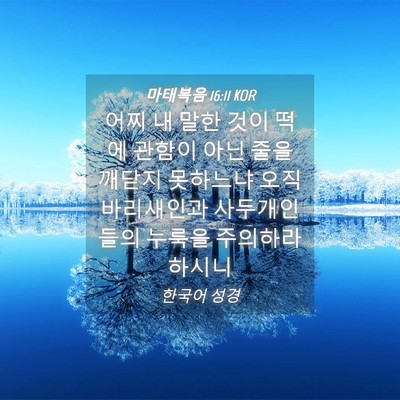 Picture 04 - 마태복음 16:11 KOR - 어찌 내 말한 것이 떡에 관함이 아닌 - Bible Verse Picture