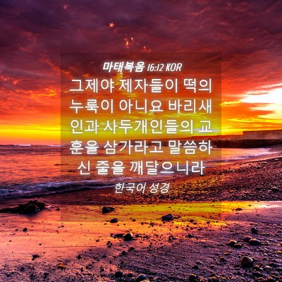 Picture 04 - 마태복음 16:12 KOR - 그제야 제자들이 떡의 누룩이 아니요 - Bible Verse Picture