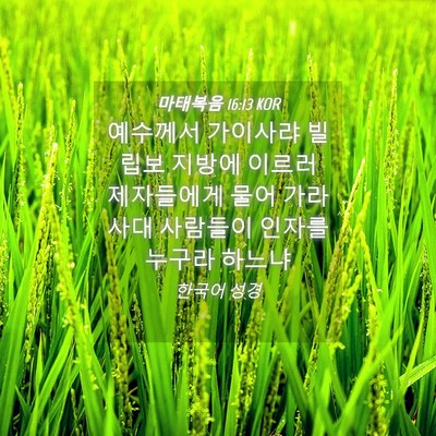 Picture 04 - 마태복음 16:13 KOR - 예수께서 가이사랴 빌립보 지방에 - Bible Verse Picture