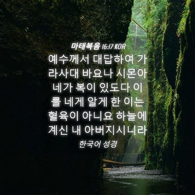 Picture 04 - 마태복음 16:17 KOR - 예수께서 대답하여 가라사대 바요나 - Bible Verse Picture