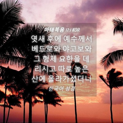 Picture 04 - 마태복음 17:1 KOR - 엿새 후에 예수께서 베드로와 - Bible Verse Picture