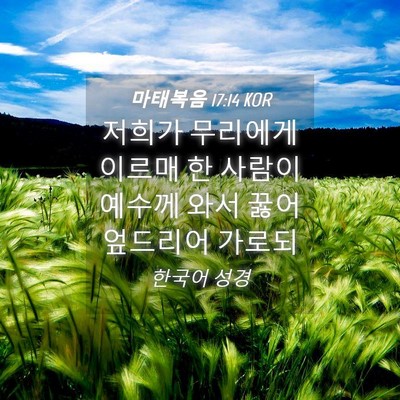 Picture 04 - 마태복음 17:14 KOR - 저희가 무리에게 이르매 한 사람이 - Bible Verse Picture