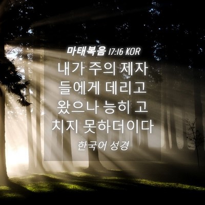 Picture 04 - 마태복음 17:16 KOR - 내가 주의 제자들에게 데리고 왔으나 - Bible Verse Picture
