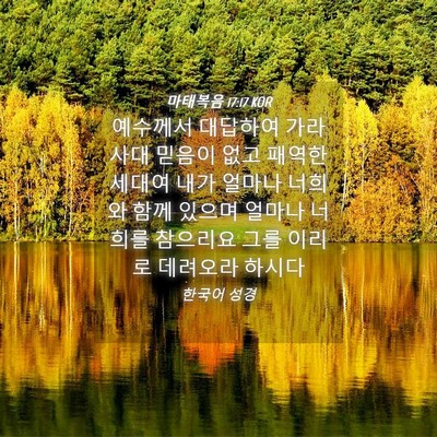 Picture 04 - 마태복음 17:17 KOR - 예수께서 대답하여 가라사대 믿음이 - Bible Verse Picture