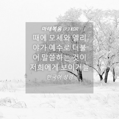 Picture 04 - 마태복음 17:3 KOR - 때에 모세와 엘리야가 예수로 더불어 - Bible Verse Picture