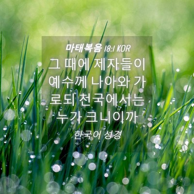 Picture 04 - 마태복음 18:1 KOR - 그 때에 제자들이 예수께 나아와 - Bible Verse Picture