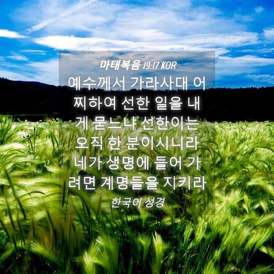 Picture 04 - 마태복음 19:17 KOR - 예수께서 가라사대 어찌하여 선한 - Bible Verse Picture
