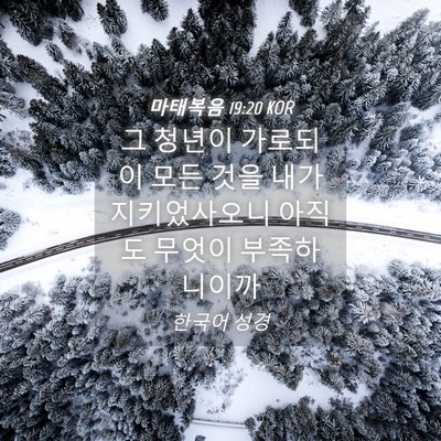 Picture 04 - 마태복음 19:20 KOR - 그 청년이 가로되 이 모든 것을 내가 - Bible Verse Picture