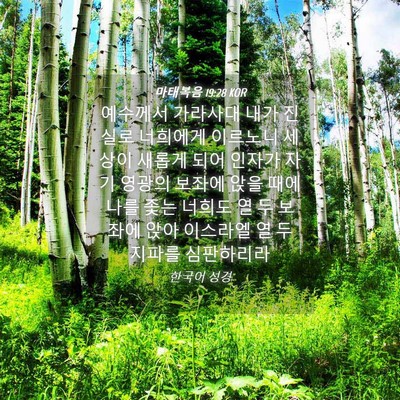 Picture 04 - 마태복음 19:28 KOR - 예수께서 가라사대 내가 진실로 - Bible Verse Picture