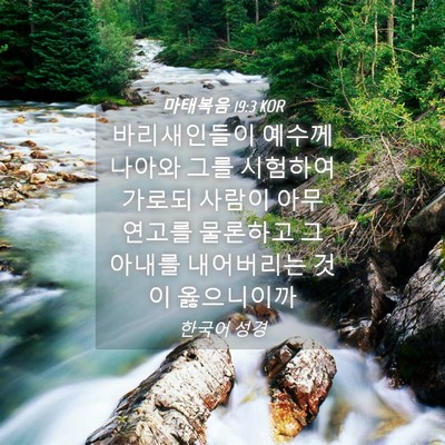 Picture 04 - 마태복음 19:3 KOR - 바리새인들이 예수께 나아와 그를 - Bible Verse Picture