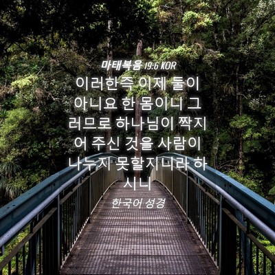Picture 04 - 마태복음 19:6 KOR - 이러한즉 이제 둘이 아니요 한 - Bible Verse Picture