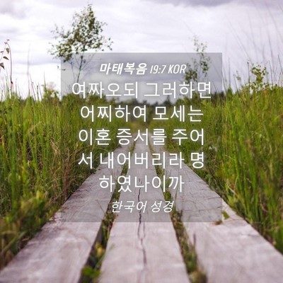 Picture 04 - 마태복음 19:7 KOR - 여짜오되 그러하면 어찌하여 모세는 - Bible Verse Picture