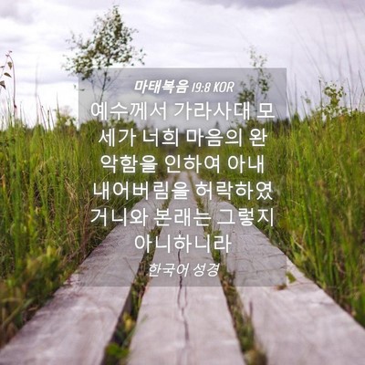 Picture 04 - 마태복음 19:8 KOR - 예수께서 가라사대 모세가 너희 - Bible Verse Picture