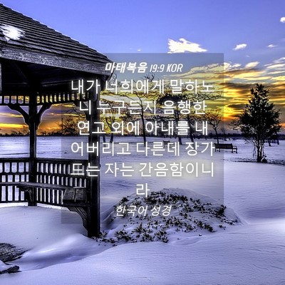 Picture 04 - 마태복음 19:9 KOR - 내가 너희에게 말하노니 누구든지 - Bible Verse Picture