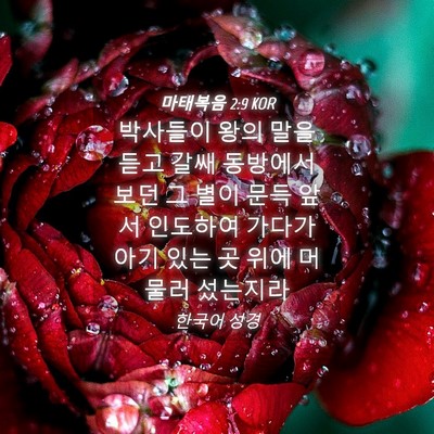 Picture 04 - 마태복음 2:9 KOR - 박사들이 왕의 말을 듣고 갈쌔 - Bible Verse Picture