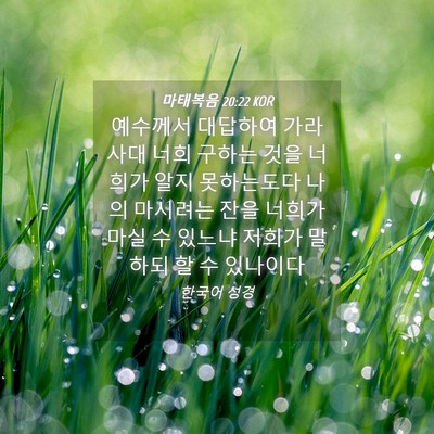 Picture 04 - 마태복음 20:22 KOR - 예수께서 대답하여 가라사대 너희 - Bible Verse Picture