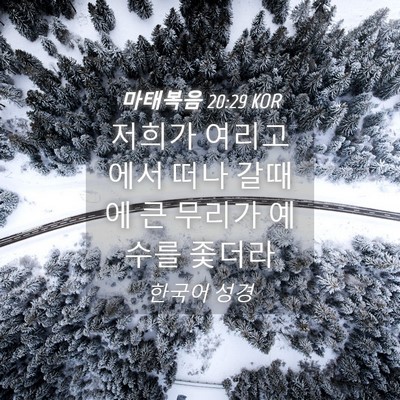 Picture 04 - 마태복음 20:29 KOR - 저희가 여리고에서 떠나 갈때에 큰 - Bible Verse Picture