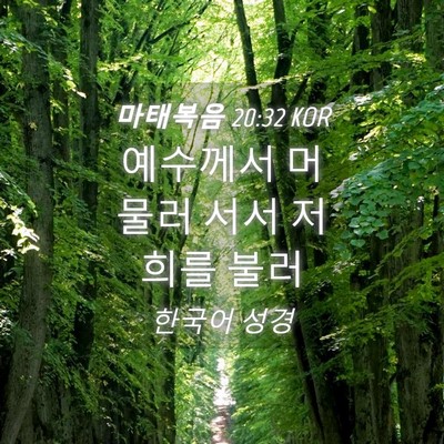 Picture 04 - 마태복음 20:32 KOR - 예수께서 머물러 서서 저희를 - Bible Verse Picture
