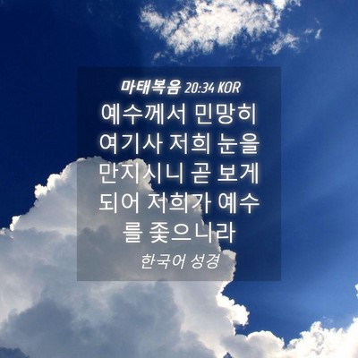 Picture 04 - 마태복음 20:34 KOR - 예수께서 민망히 여기사 저희 눈을 - Bible Verse Picture