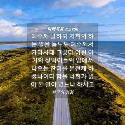 Picture 04 - 마태복음 21:16 KOR - 예수께 말하되 저희의 하는 말을 - Bible Verse Picture