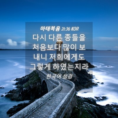 Picture 04 - 마태복음 21:36 KOR - 다시 다른 종들을 처음보다 많이 - Bible Verse Picture