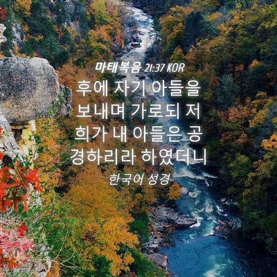 Picture 04 - 마태복음 21:37 KOR - 후에 자기 아들을 보내며 가로되 - Bible Verse Picture