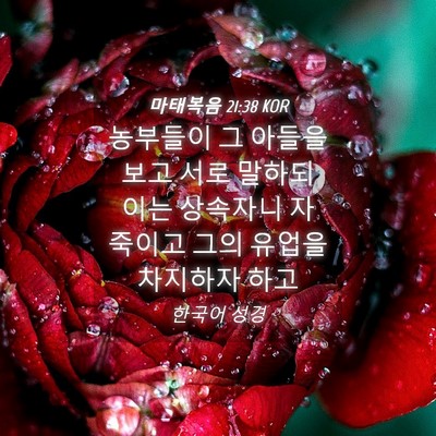 Picture 04 - 마태복음 21:38 KOR - 농부들이 그 아들을 보고 서로 - Bible Verse Picture