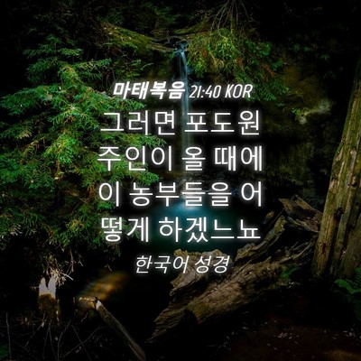 Picture 04 - 마태복음 21:40 KOR - 그러면 포도원 주인이 올 때에 이 - Bible Verse Picture