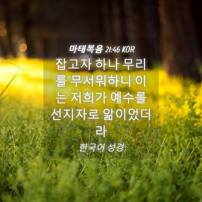 Picture 04 - 마태복음 21:46 KOR - 잡고자 하나 무리를 무서워하니 이는 - Bible Verse Picture