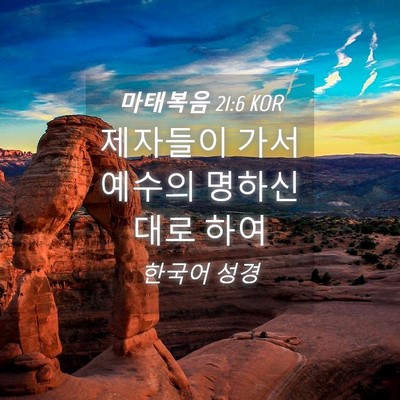 Picture 04 - 마태복음 21:6 KOR - 제자들이 가서 예수의 명하신대로 - Bible Verse Picture