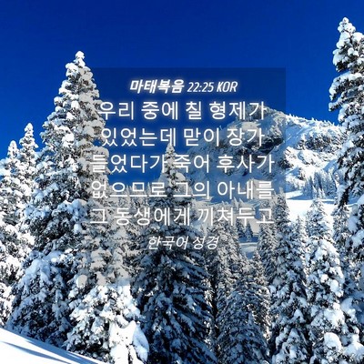 Picture 04 - 마태복음 22:25 KOR - 우리 중에 칠 형제가 있었는데 맏이 - Bible Verse Picture