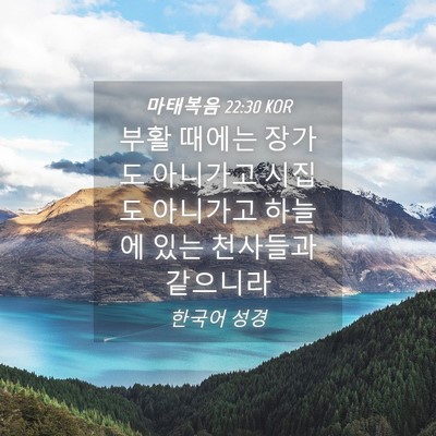 Picture 04 - 마태복음 22:30 KOR - 부활 때에는 장가도 아니가고 시집도 - Bible Verse Picture