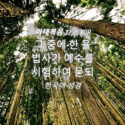 Picture 04 - 마태복음 22:35 KOR - 그 중에 한 율법사가 예수를 - Bible Verse Picture