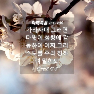 Picture 04 - 마태복음 22:43 KOR - 가라사대 그러면 다윗이 성령에 - Bible Verse Picture
